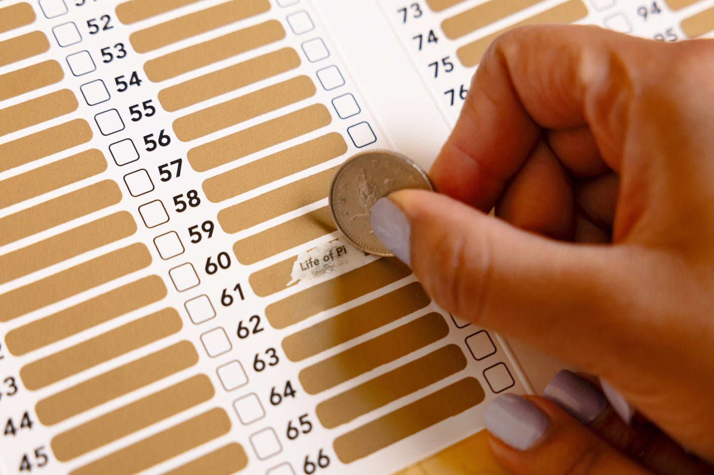 Riddle Pics- At the Library 101 books to find