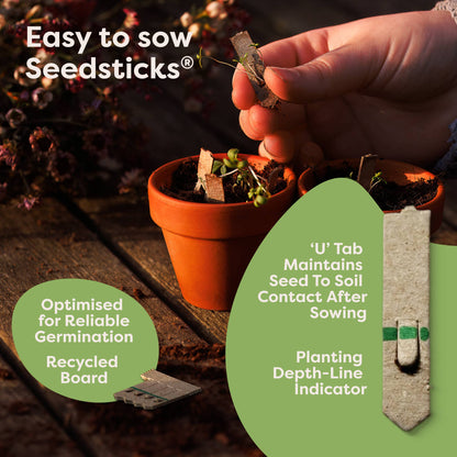 Dragonfly Seedsticks®