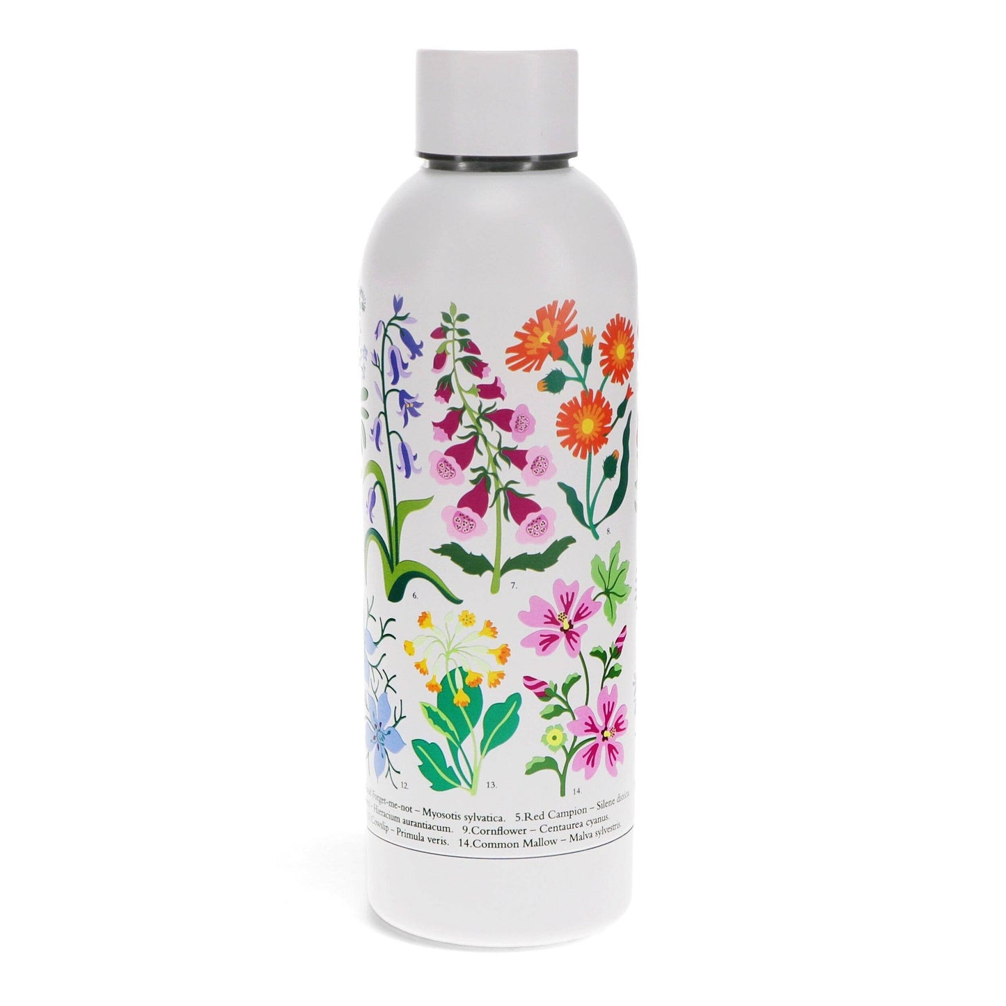 Stainless Steel Drinks Bottle 500ml - Wild Flowers